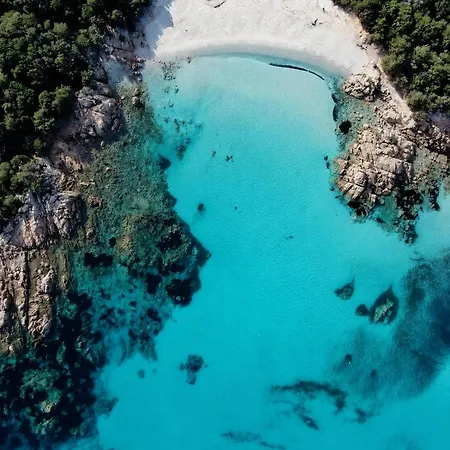 Villa Esmerea Portocervo Con Piscina Privata ,jacuzi E Sauna